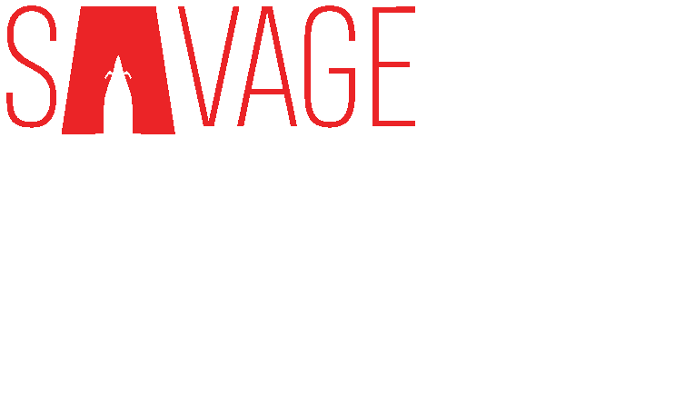 savage aviation charters plane TM red and white 1